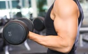 rutina para aumentar masa muscular